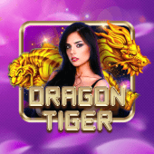 Dragon Tiger lucky calico RTP